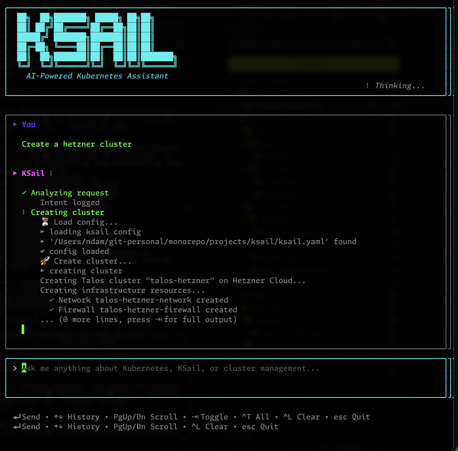 Starting the chat with a Hetzner cluster request